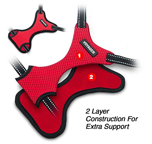 Foto 6 pulgar | Arnés Para Perros Best Pet Supplies Voyager Con Rayas Reflectantes, Color Rojo - Venta Internacional.