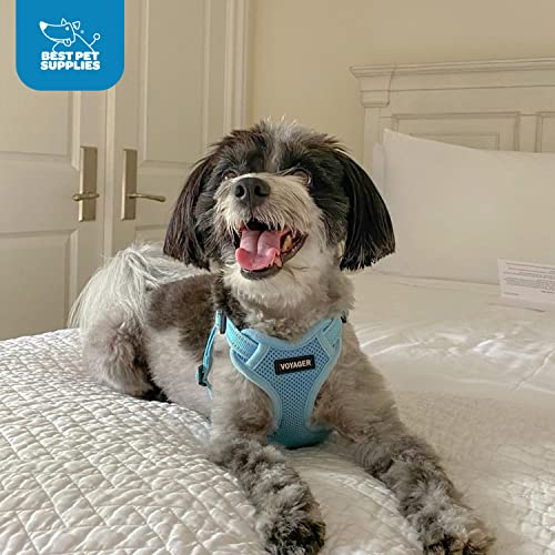 Foto 8 pulgar | Arnés Para Perros Best Pet Supplies Voyager Reflective Stripes Xs - Venta Internacional.