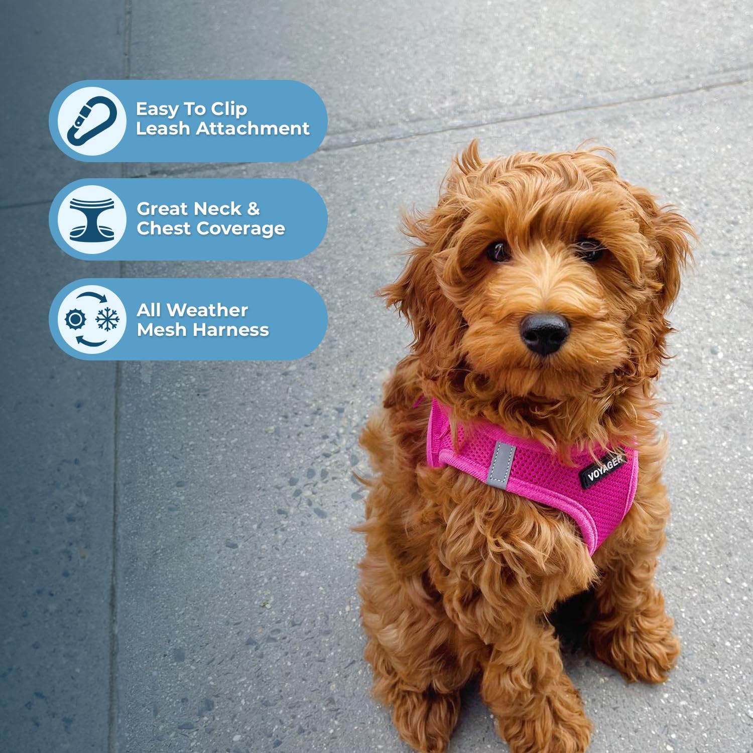 Foto 5 | Combo De Arnés Y Correa Para Perros Voyager Step-in Air S Fuchsia - Venta Internacional.