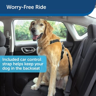 Foto 2 | Arnés Petsafe 3 En 1 Con Correa De Control De Dos Puntos, Color Negro - Venta Internacional.