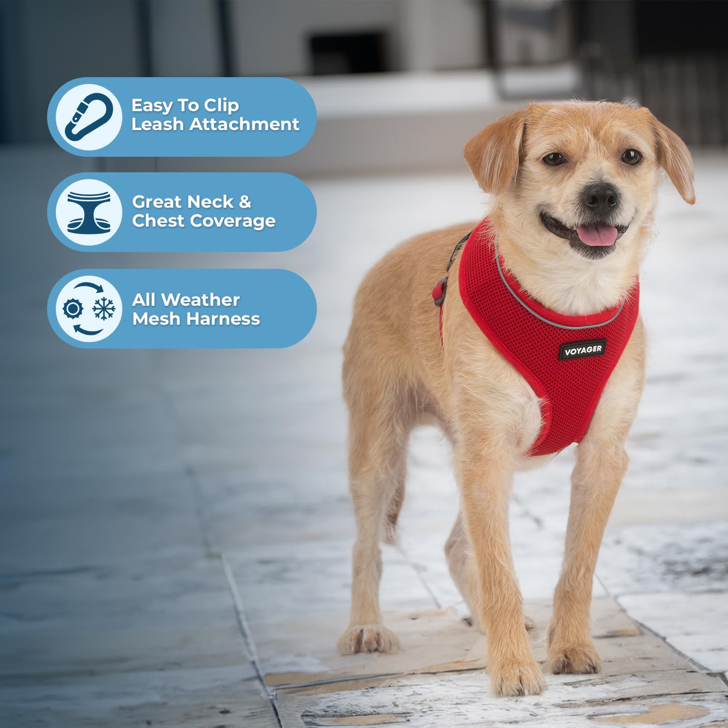 Foto 5 | Arnés Para Perros Voyager Aerolite No Pull Mesh Red Xs - Venta Internacional.