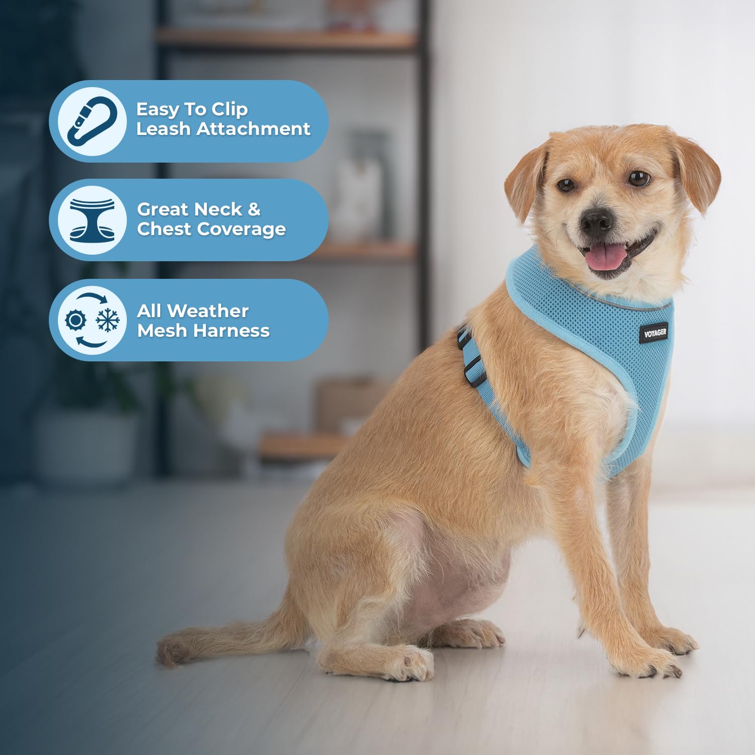 Foto 6 pulgar | Arnés Para Perros Voyager Aerolite, Malla Sin Tirones, Color Azul Bebé, Talla L - Venta Internacional.