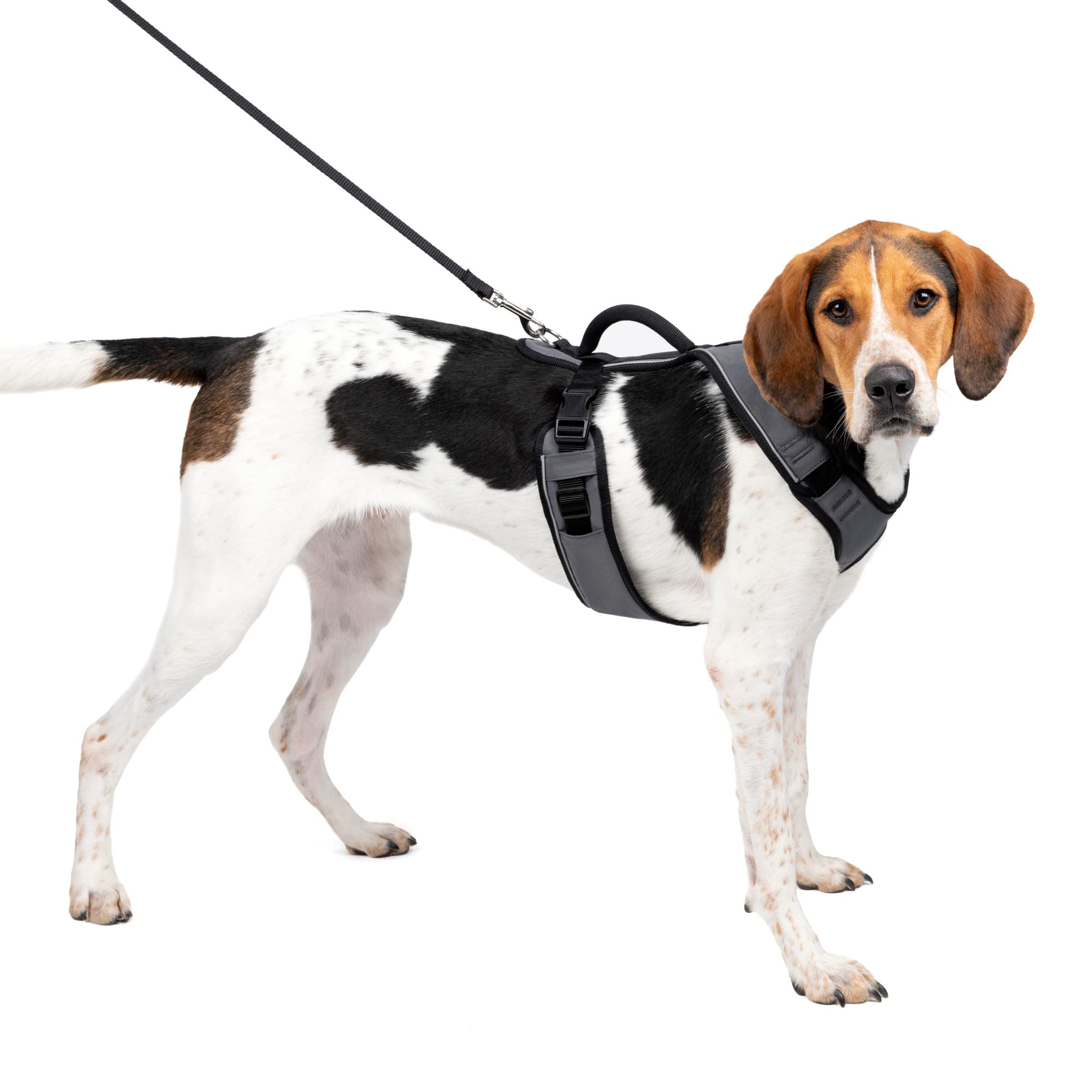 Foto 2 pulgar | Arnés Para Perros Petsafe Easysport, Acolchado, Ajustable, Grande - Venta Internacional.