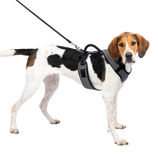 Foto 1 | Arnés Para Perros Petsafe Easysport, Acolchado, Ajustable, Grande - Venta Internacional.
