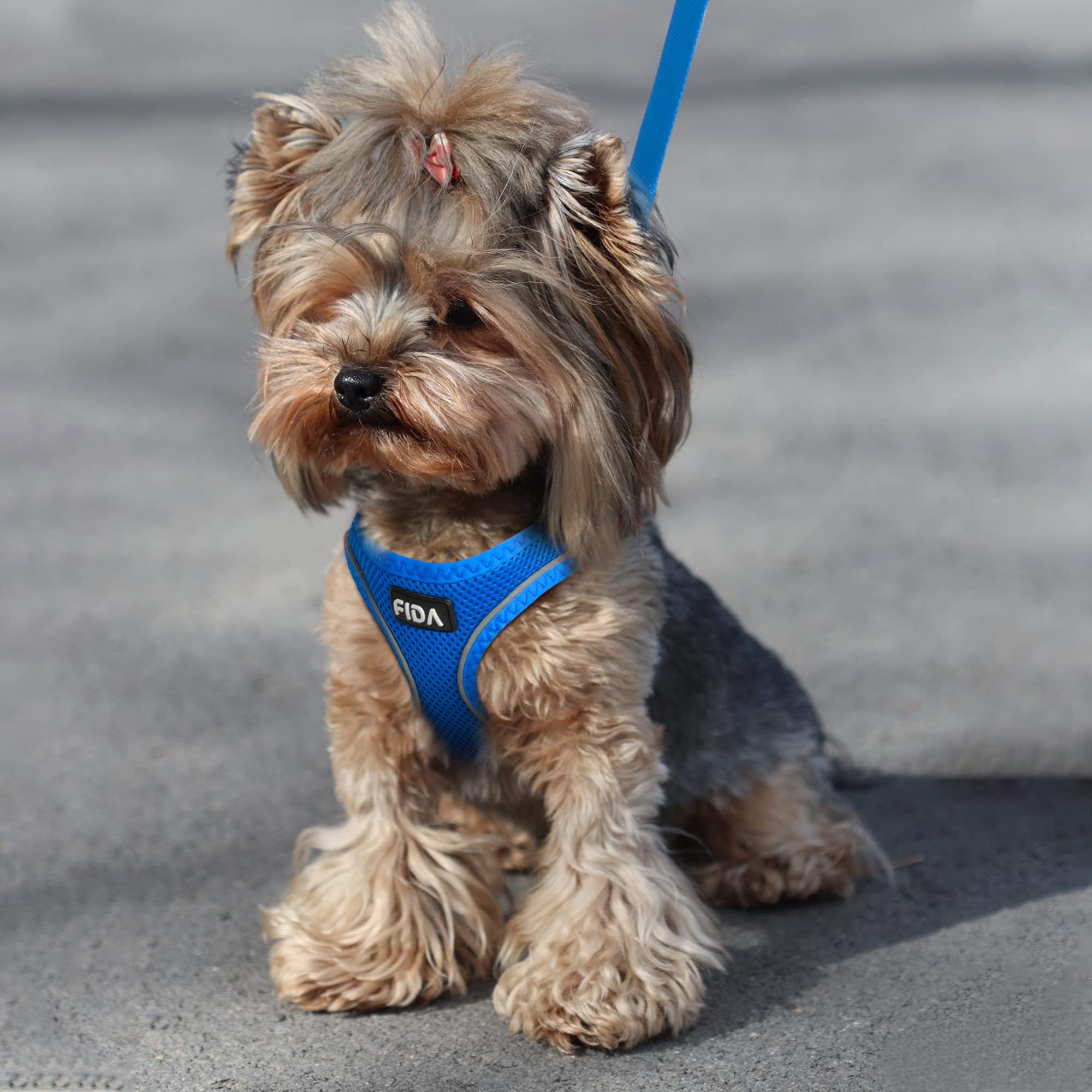 Foto 7 | Arnés Para Mascotas Con Correa Fida Comfy Para Cachorros Y Mascotas Extrapequeñas - Venta Internacional.