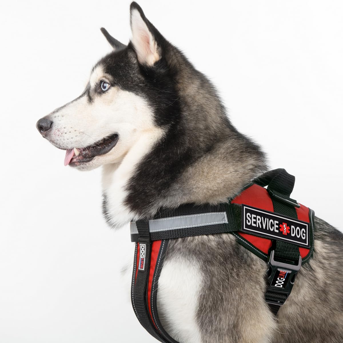 Foto 5 | Parche Dogline Service Para Arnés Y Chaleco Para Perros - Venta Internacional.