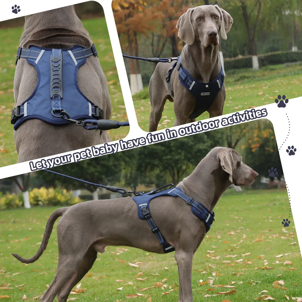 Foto 4 pulgar | Pechera Lab.g Arnés De Seguridad Para Perro Azul Marino Talla M