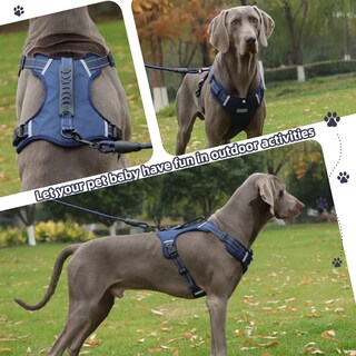Foto 3 | Pechera Lab.g Arnés De Seguridad Para Perro Azul Marino Talla M