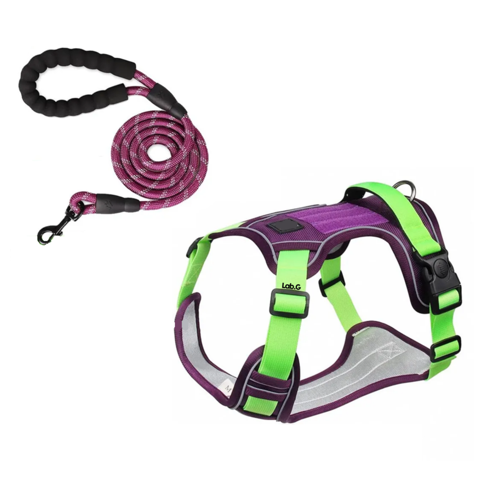 Foto 2 pulgar | Pecheras Para Perros Con Cuerda De Tracción Lab.g Purple Talla S