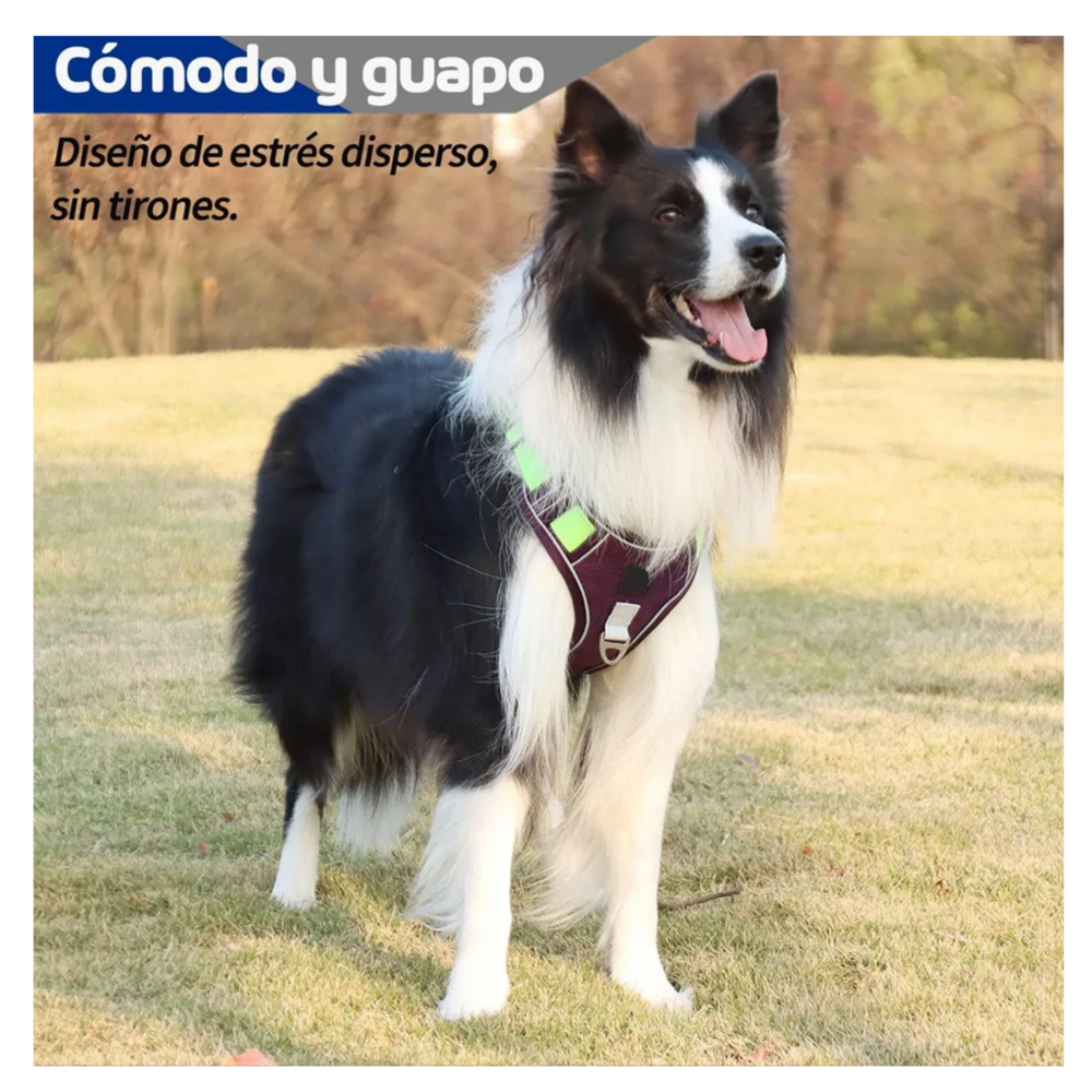 Foto 4 pulgar | Pecheras Para Perros Con Cuerda De Tracción Lab.g Purple Talla S
