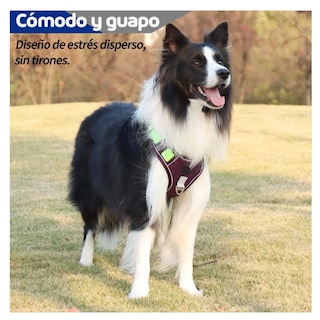 Foto 4 | Pecheras Para Perros Con Cuerda De Tracción Belug Purple Talla S