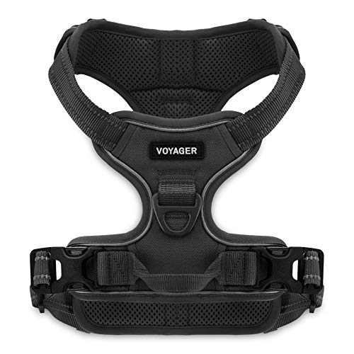 Foto 2 pulgar | Arnés Best Pet Supplies Voyager, Doble Accesorio, Negro, Grande - Venta Internacional.