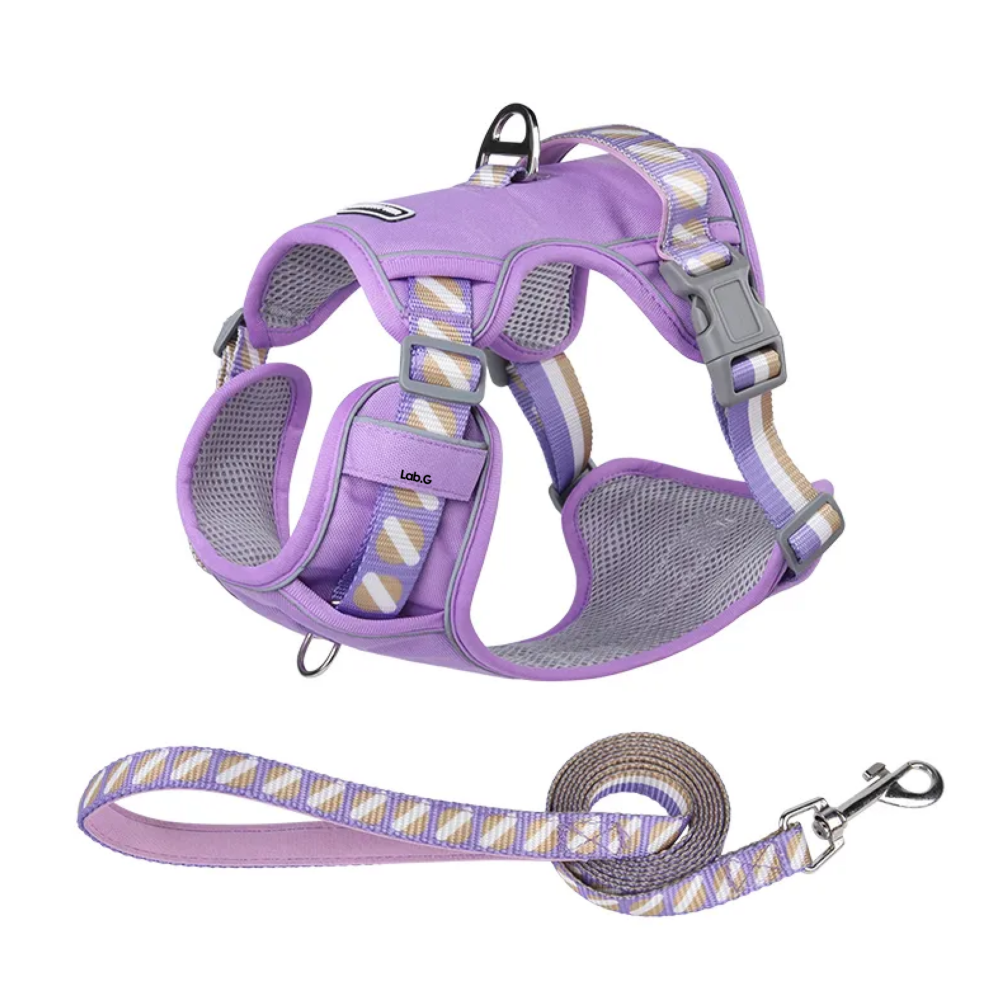 Foto 1 | Pechera Arnés Con Correa Para Perro  Lab.g, Violeta Talla Xs
