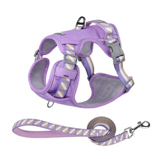 Foto 1 | Pechera Arnés Con Correa Para Perro Lab.g, Violeta Talla Xs