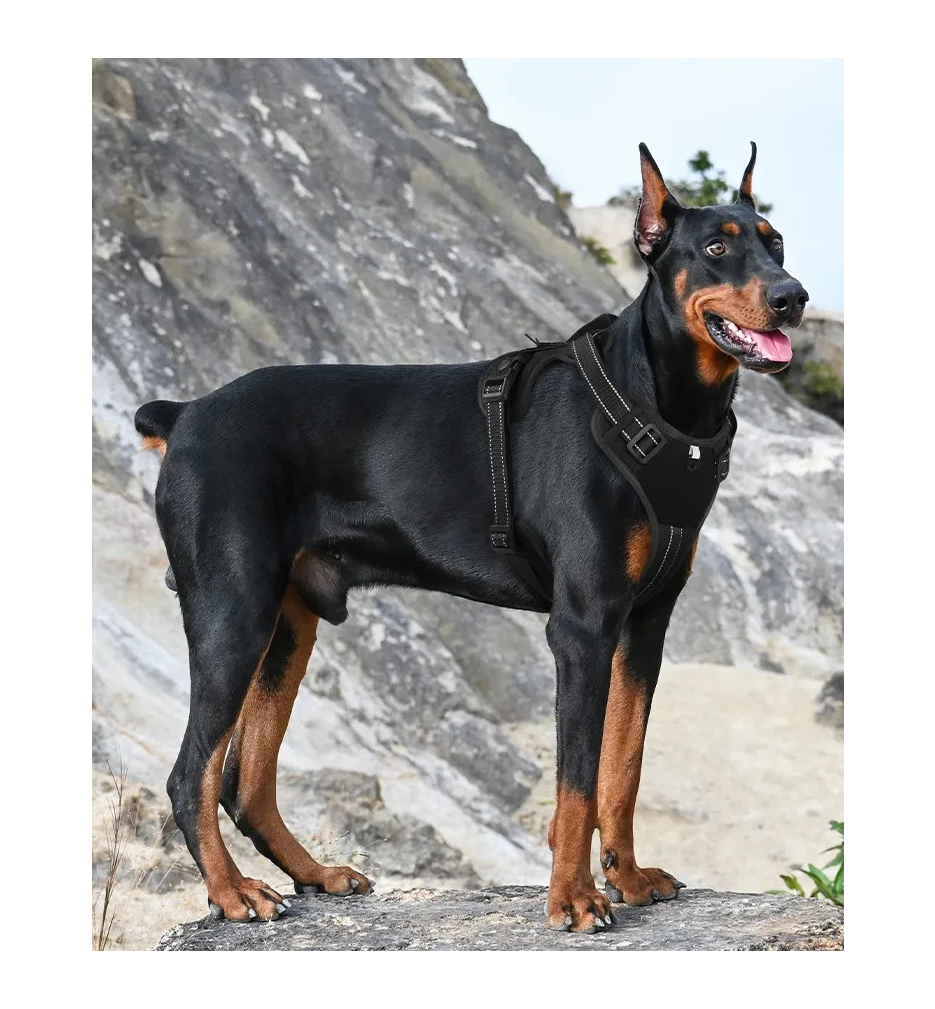 Foto 5 pulgar | Pechera Arnés Belug Táctica Con Correa Perro Mediano Negro