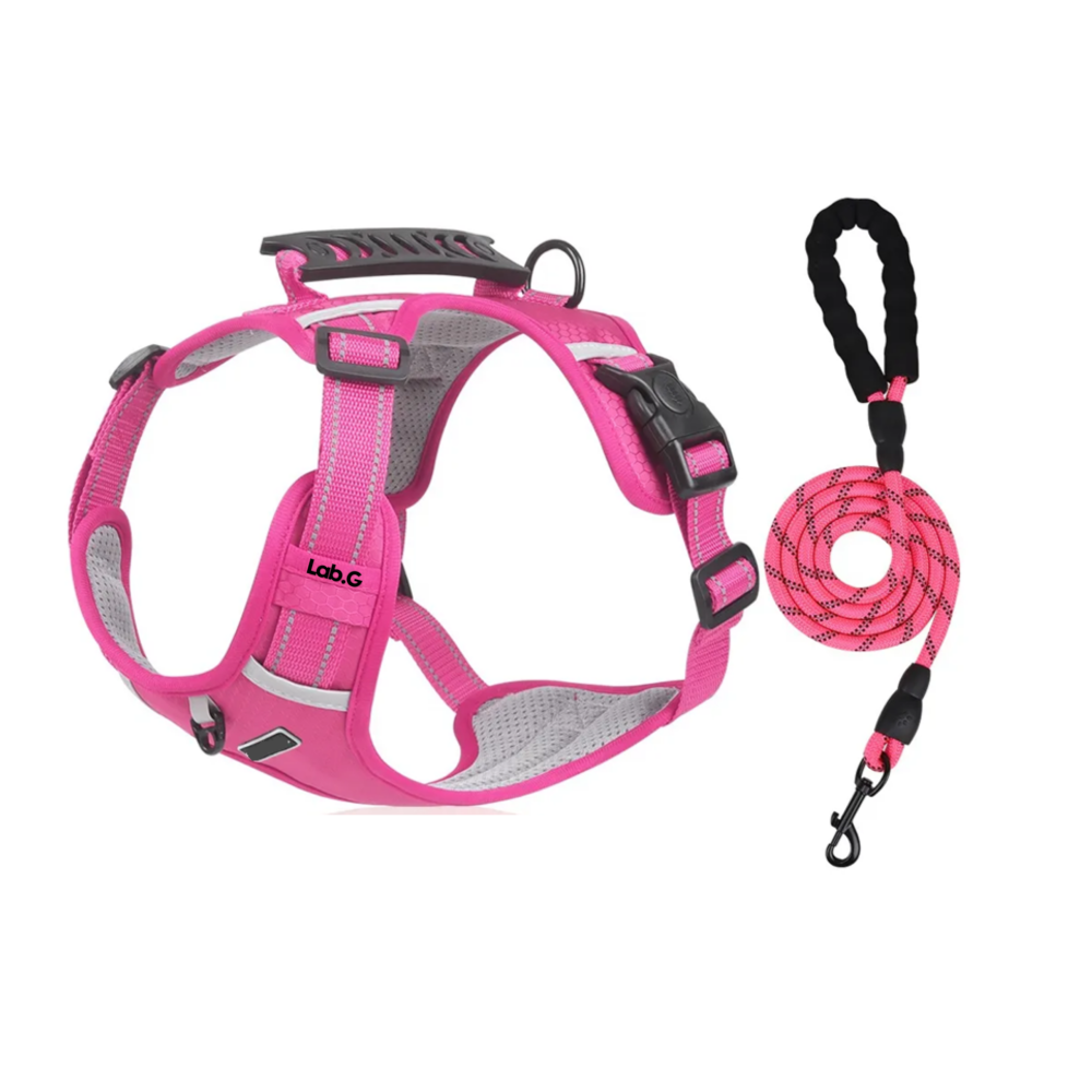 Foto 2 pulgar | Pechera Arnés De Seguridad Para Perro Lab.g,  Fucsia Talla Xl