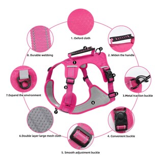 Foto 2 | Pechera Arnés De Seguridad Para Perro Lab.g, Fucsia Talla Xl