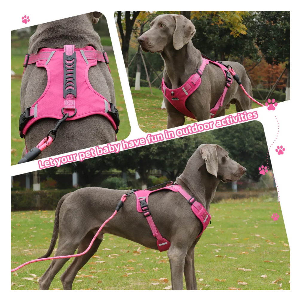 Foto 4 | Pechera Arnés De Seguridad Para Perro Lab.g,  Fucsia Talla Xl
