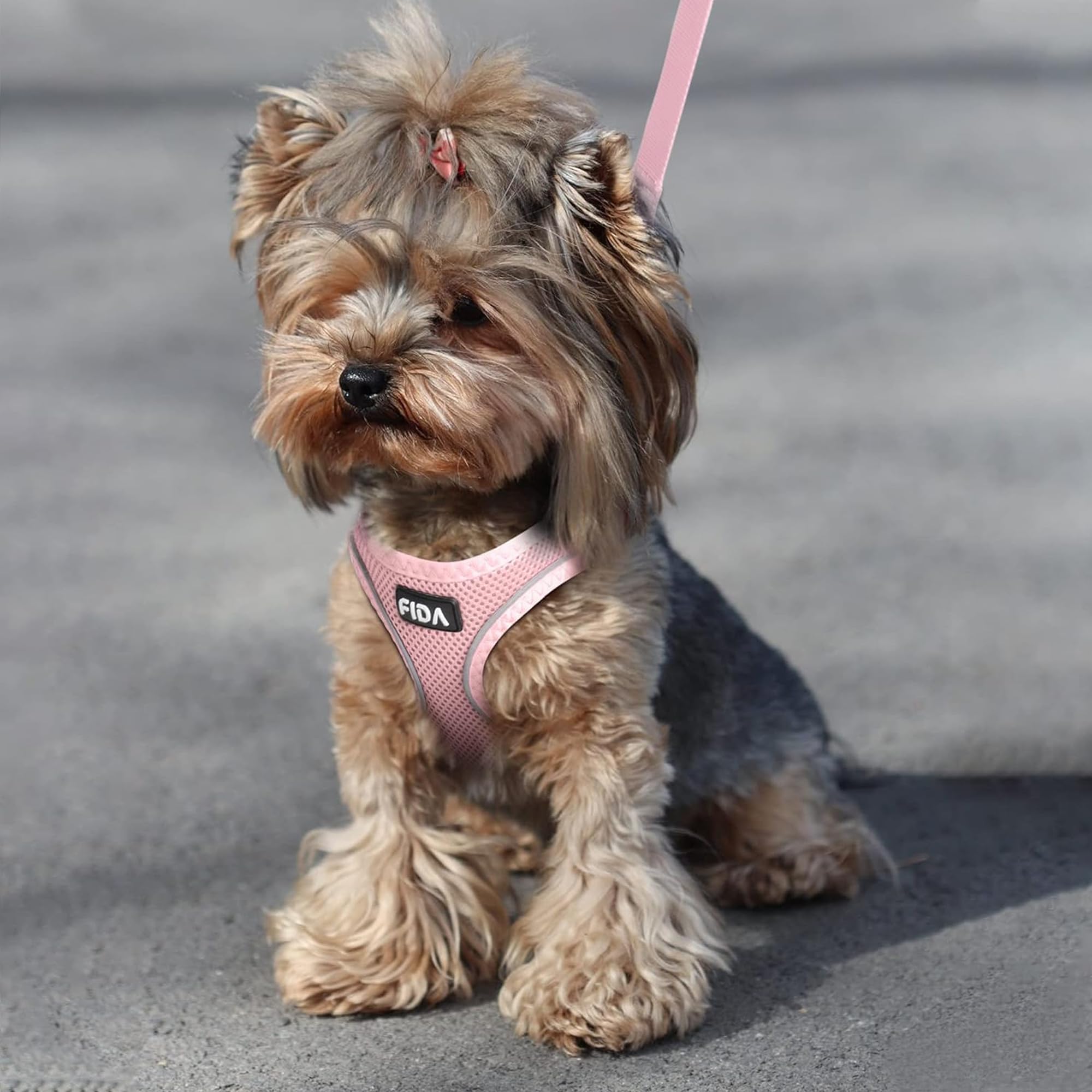 Foto 5 | Set De Arnés Y Correa Fida Para Pasear Perros Y Gatos, Color Rosa Xxxs - Venta Internacional.