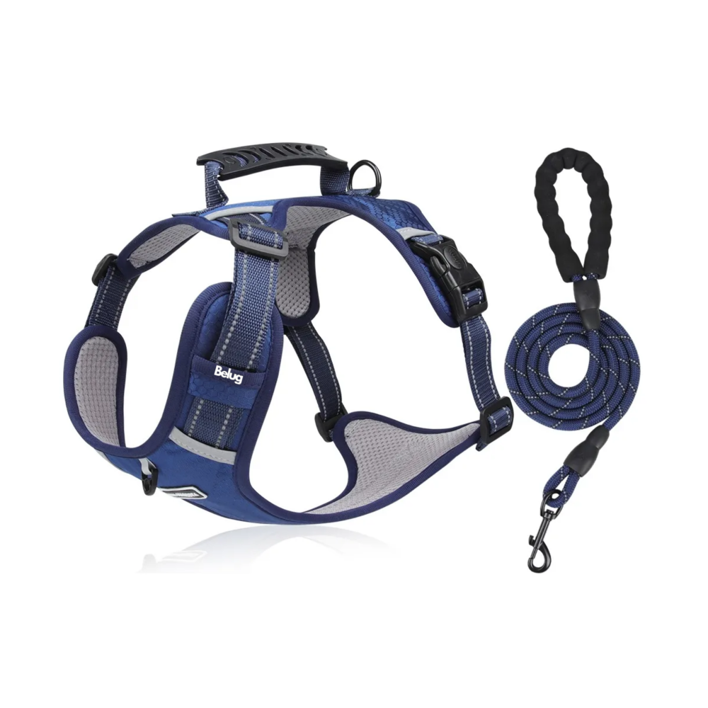Foto 2 pulgar | Pechera Arnés De Seguridad Para Perro Belug, Azul Marino Talla G