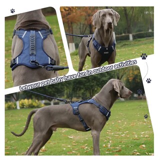 Foto 3 | Pechera Arnés De Seguridad Para Perro Belug, Azul Marino Talla G