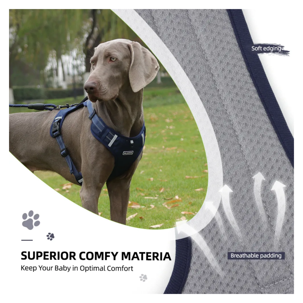 Foto 5 pulgar | Pechera Arnés De Seguridad Para Perro Belug, Azul Marino Talla G