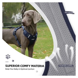 Foto 4 | Pechera Arnés De Seguridad Para Perro Belug, Azul Marino Talla G
