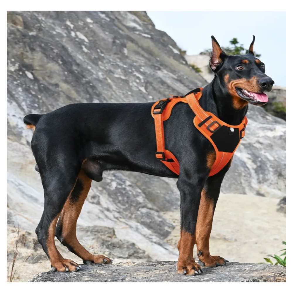 Foto 3 pulgar | Pechera Arnés Táctica Con Correa Perro Belug, Talla M Naranja