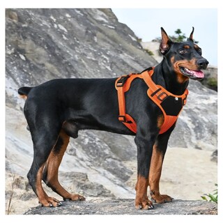 Foto 2 | Pechera Arnés Táctica Con Correa Perro Belug, Talla M Naranja