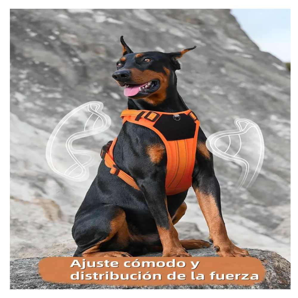 Foto 4 pulgar | Pechera Arnés Táctica Con Correa Perro Belug, Talla M Naranja