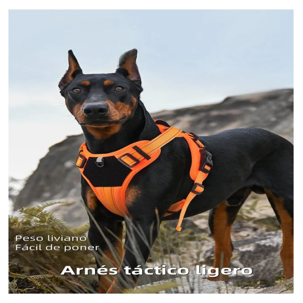 Foto 4 | Pechera Arnés Táctica Con Correa Perro Belug, Talla M Naranja