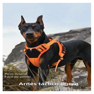 Foto 4 | Pechera Arnés Táctica Con Correa Perro Belug, Talla M Naranja