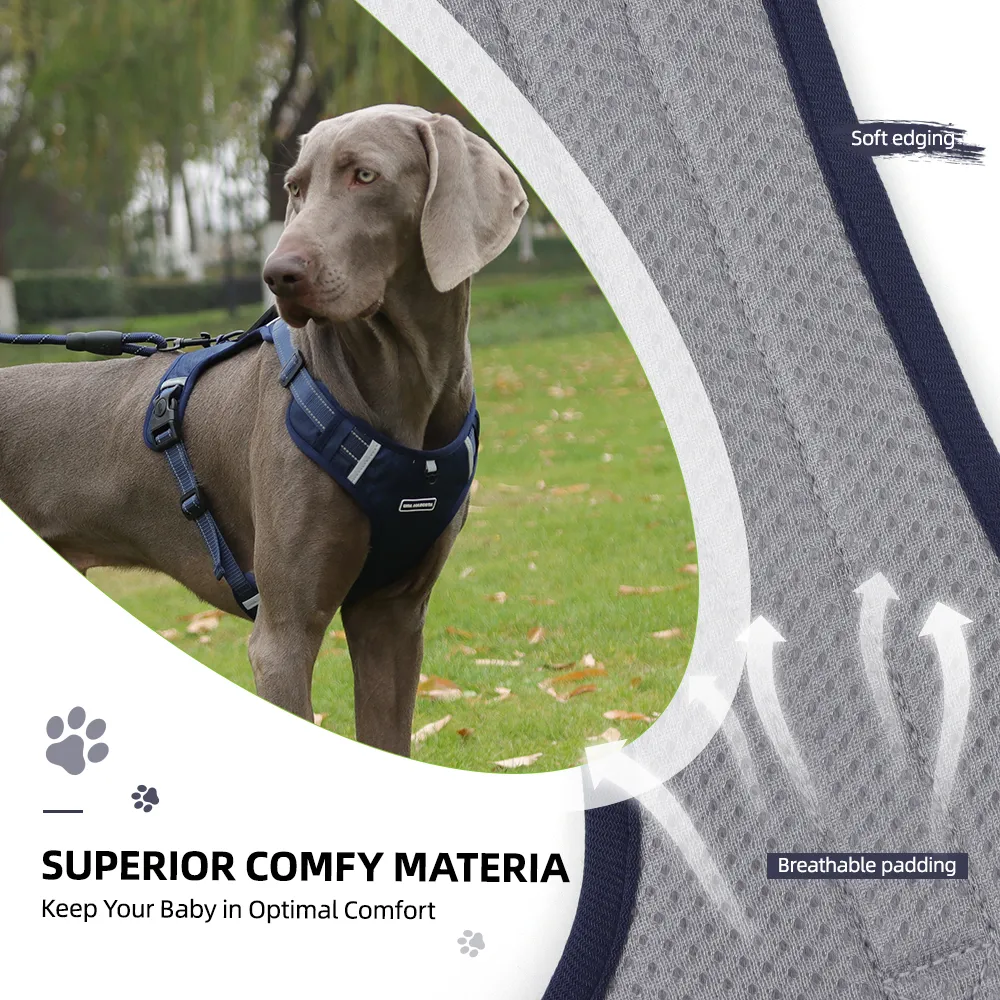 Foto 6 pulgar | Pechera Lab.garnés De Seguridad Para Perro Azul Marino Talla S
