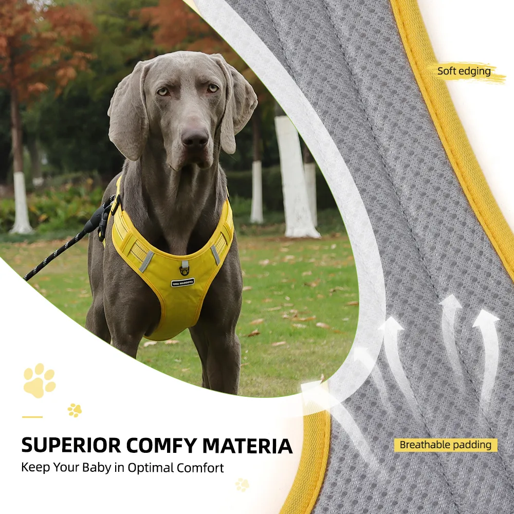 Foto 5 | Pechera Arnés Lab.g Seguridad Para Perro Amarillo Talla G