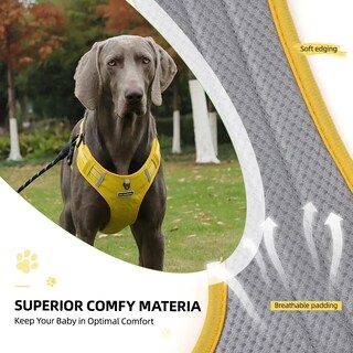 Foto 5 | Pechera Arnés Lab.g Seguridad Para Perro Amarillo Talla G