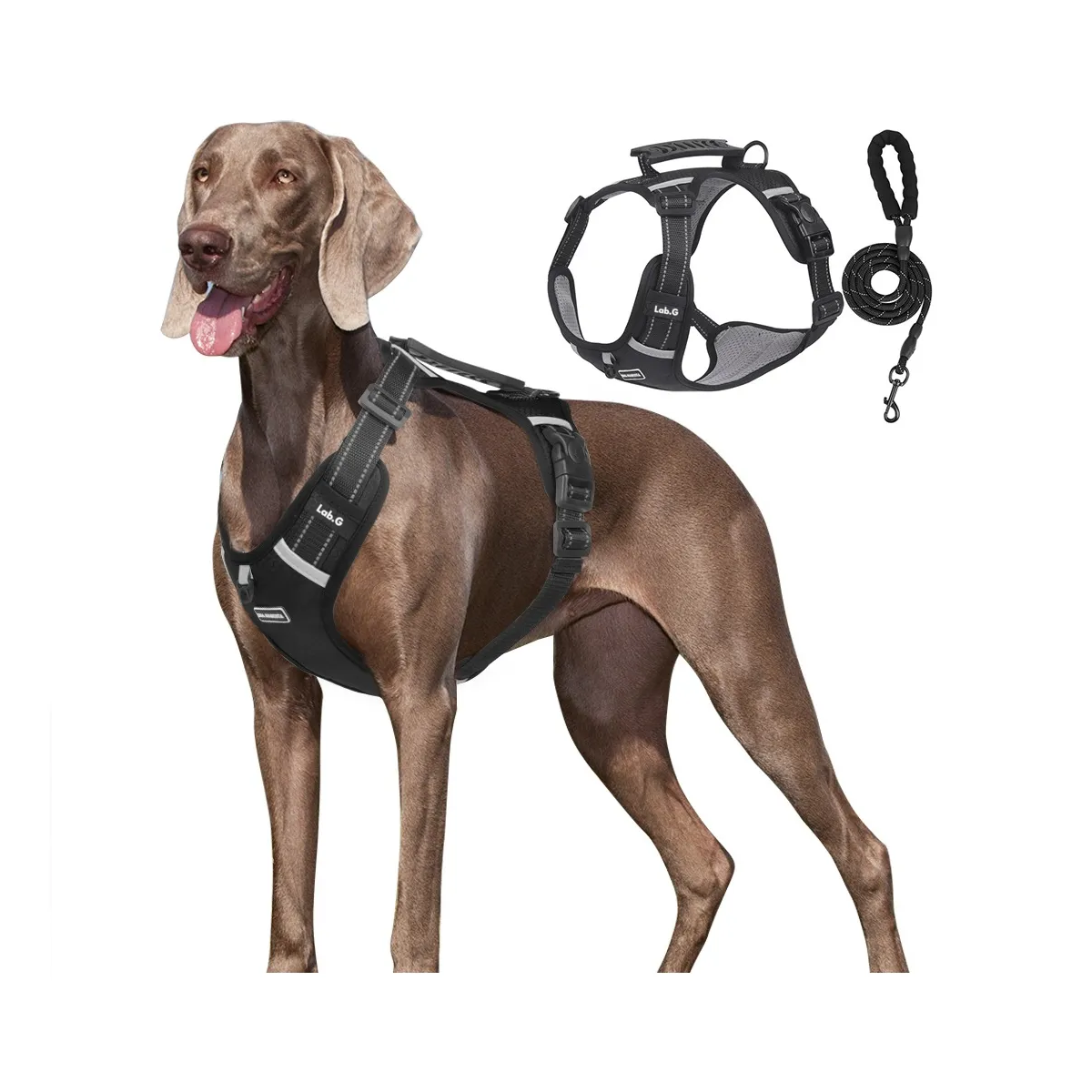 Foto 5 pulgar | Pechera Arnés De Seguridad Para Perro Talla Xl Lab.g Negro