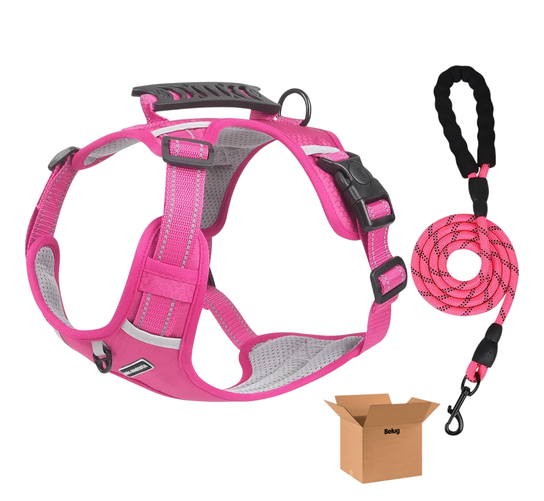 Foto 1 | Pechera Belug  Arnés De Seguridad Para Perro Fucsia Talla S