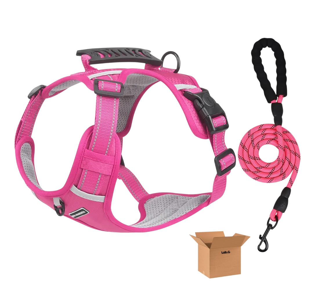 Foto 1 | Pechera  Lab.g Arnés De Seguridad Para Perro Fucsia Talla S