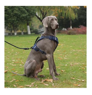 Foto 4 | Pechera Arnés De Seguridad Para Perro Azul Marino Talla Xs