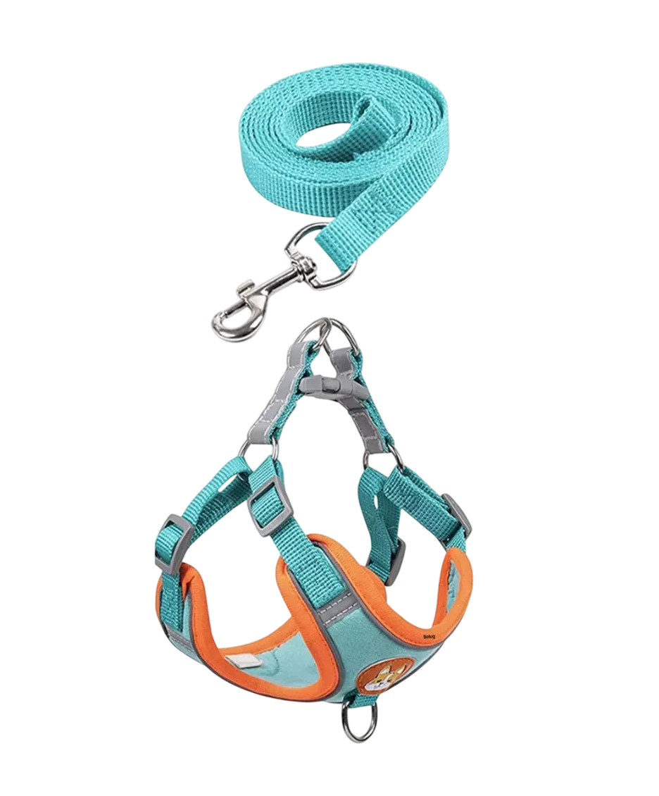 Foto 2 pulgar | Pechera Arnés Para Perro Regulable Con Bandas Reflectivas Azul/naranja