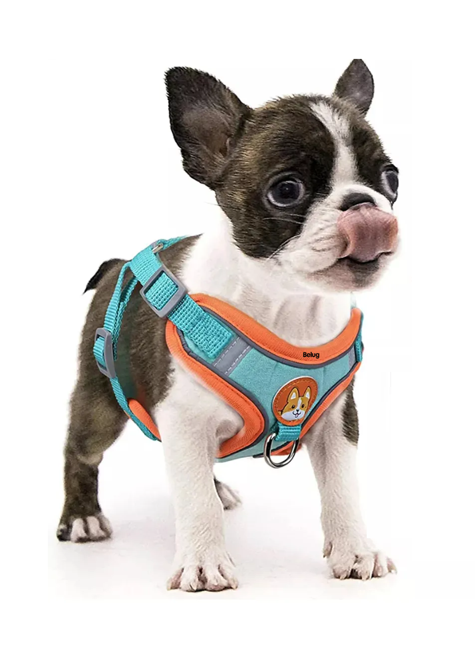 Foto 3 pulgar | Pechera Arnés Para Perro Regulable Con Bandas Reflectivas Azul/naranja