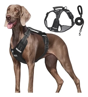 Foto 1 | Pechera Xtellar Arnés De Seguridad Para Perro Chico Mediano Y Grande