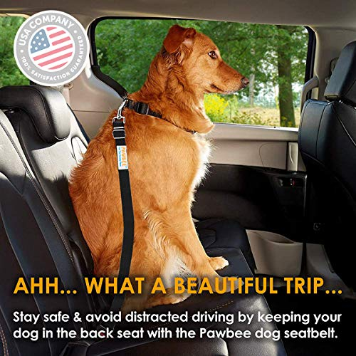 Foto 5 | Cinturón De Seguridad Pawbee Para Perro  2 Unidades  Ajustable  De Nailon  Para Coche - Venta Internacional.