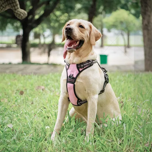 Foto 3 pulgar | Pechera Arné Para Perro Ajustable Con Bandas Reflectivas