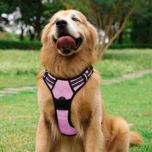 Foto 4 pulgar | Pechera Arné Para Perro Ajustable Con Bandas Reflectivas