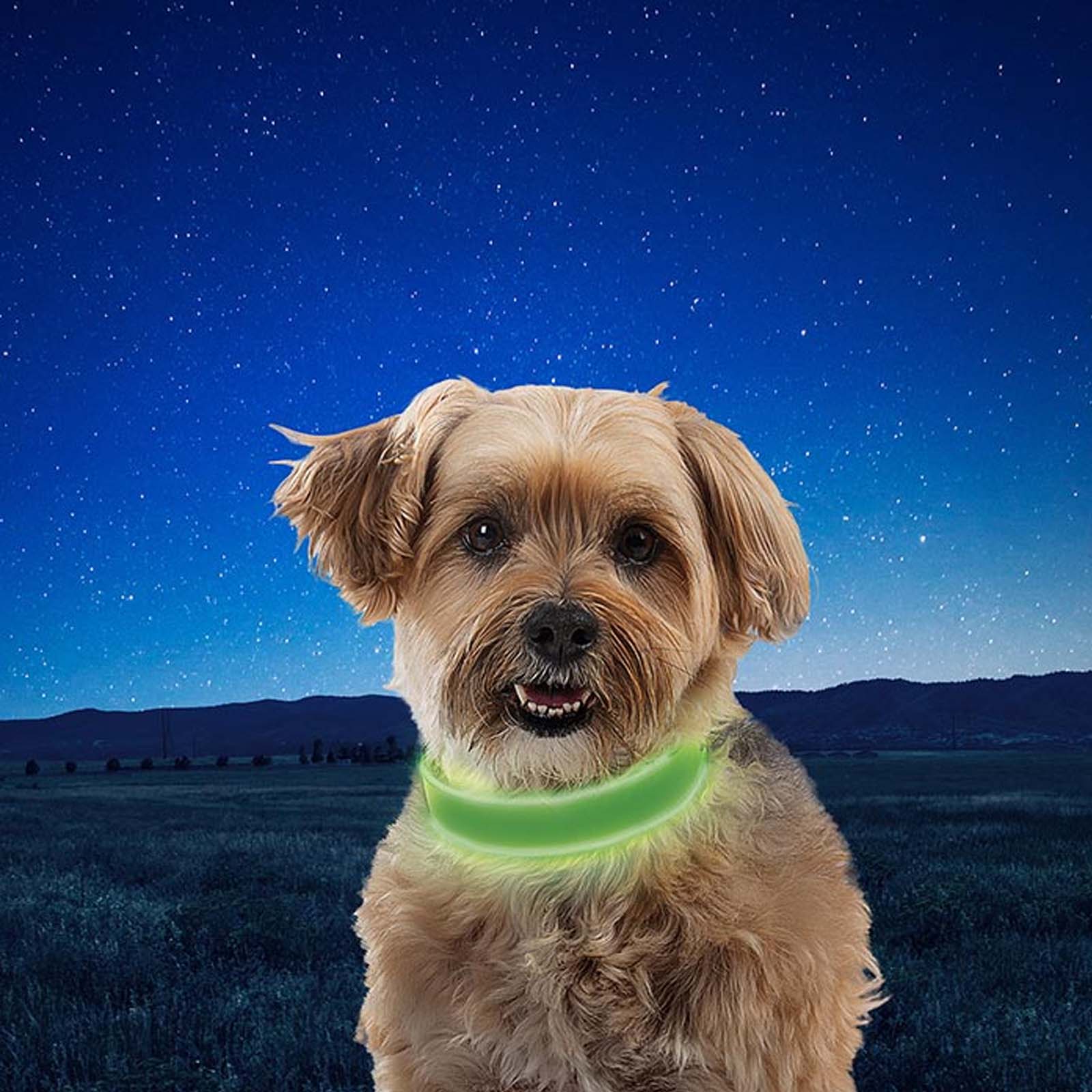 Foto 4 pulgar | Collar para Perro Nite Ize con Luz Led Recargable color Verde