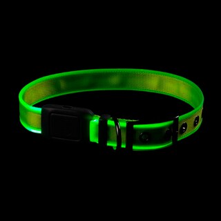 Foto 3 | Collar para Perro Grande Nite Ize con Led Recargable color Verde