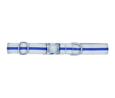 Foto 1 | Collar con Banda Reflectiva para Mascotas Pet's Life PP31 color Azul Grande