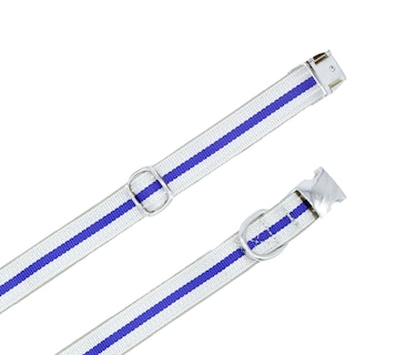 Foto 2 | Collar con Banda Reflectiva para Mascotas Pet's Life PP31 color Azul Grande