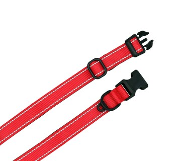 Foto 2 | Collar de Nylon Pet's Life Pp02 color Rojo Grande